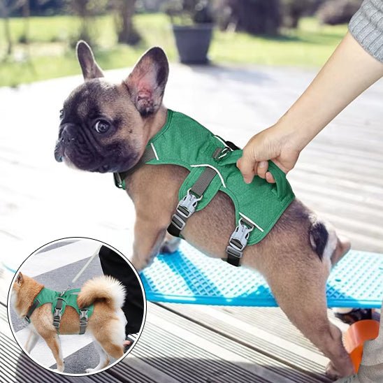 Harnais pour chien - DogHarness™ - Nylon - Voyage canin