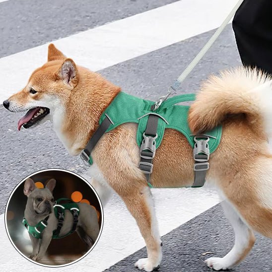 Harnais pour chien - DogHarness™ - Nylon - Voyage canin