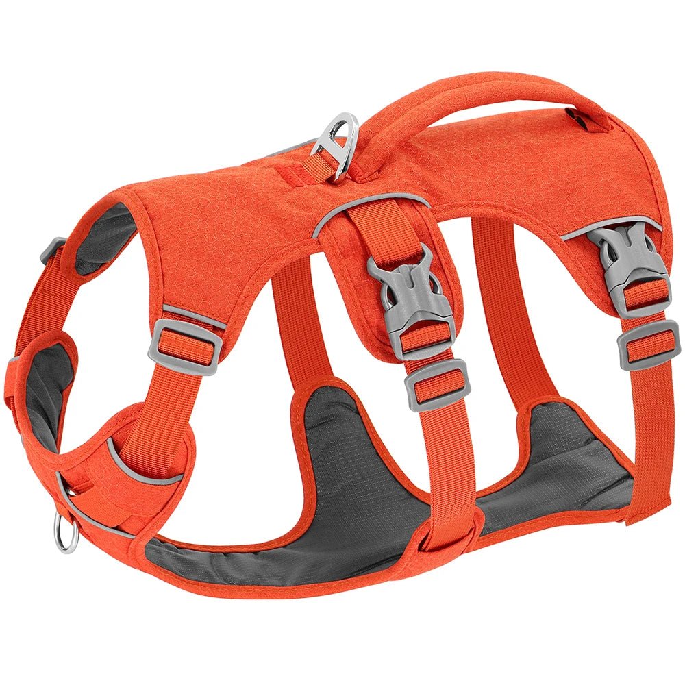 Harnais pour chien - DogHarness™ - Nylon - Voyage canin