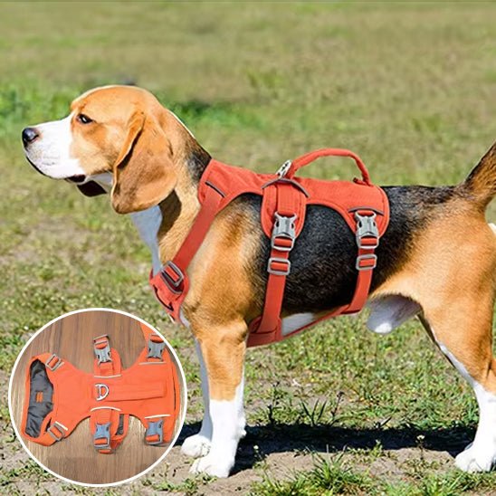 Harnais pour chien - DogHarness™ - Nylon - Voyage canin