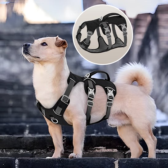 Harnais pour chien - DogHarness™ - Nylon - Voyage canin