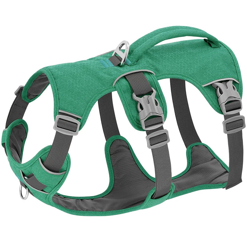Harnais pour chien - DogHarness™ - Nylon - Voyage canin
