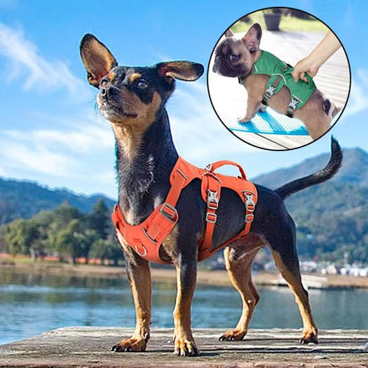 Harnais pour chien - DogHarness™ - Nylon - Voyage canin