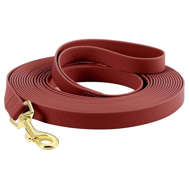 Laisse pour Chien - DogLeash™ - Voyage canin