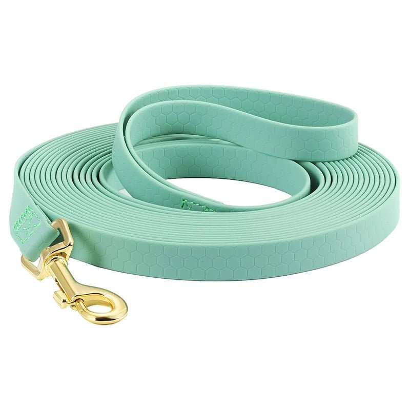 Laisse pour Chien - DogLeash™ - Voyage canin