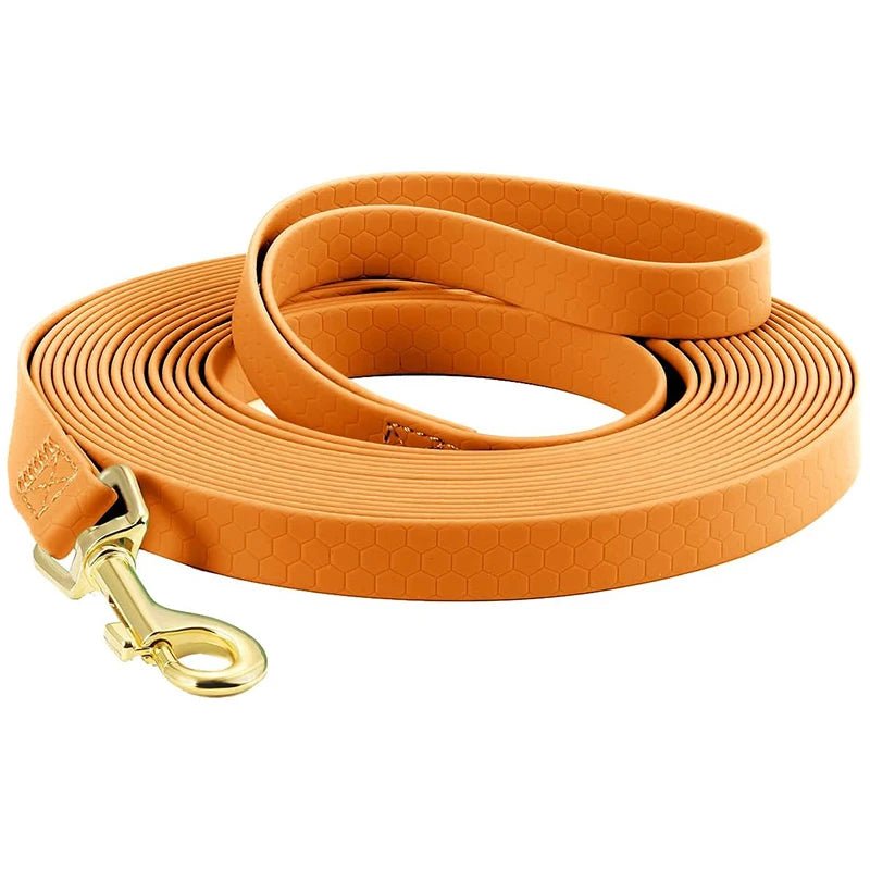 Laisse pour Chien - DogLeash™ - Voyage canin