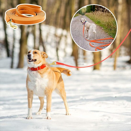 Laisse pour Chien - DogLeash™ - PVC - Voyage canin