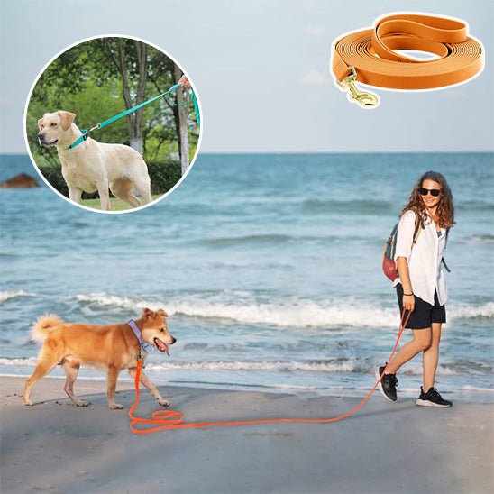 Laisse pour Chien - DogLeash™ - PVC - Voyage canin