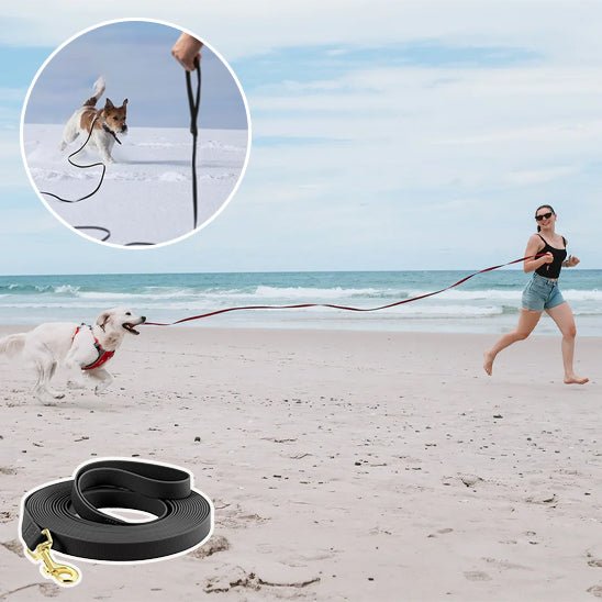 Laisse pour Chien - DogLeash™ - PVC - Voyage canin