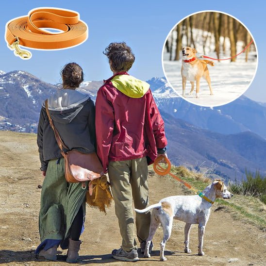 Laisse pour Chien - DogLeash™ - PVC - Voyage canin
