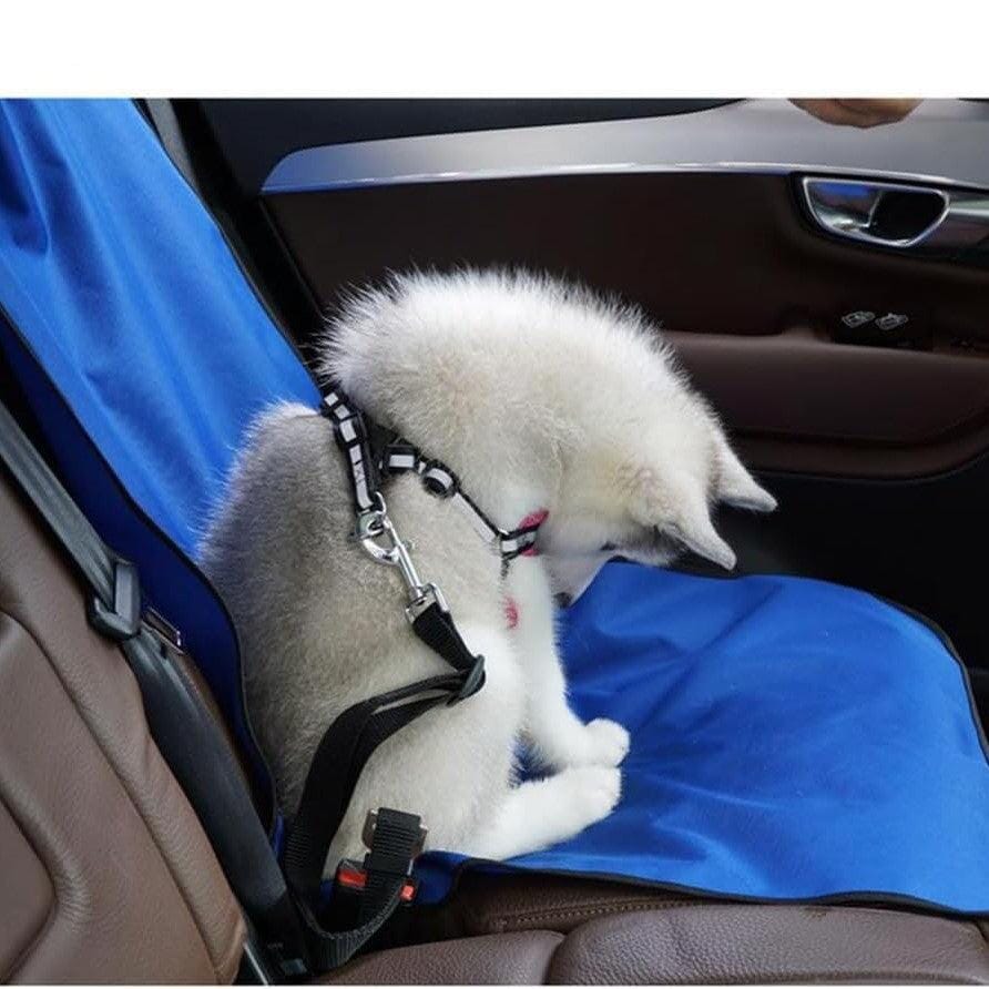 Protection Siege Voiture - PawShieldMat™ - Bleu - Voyage canin