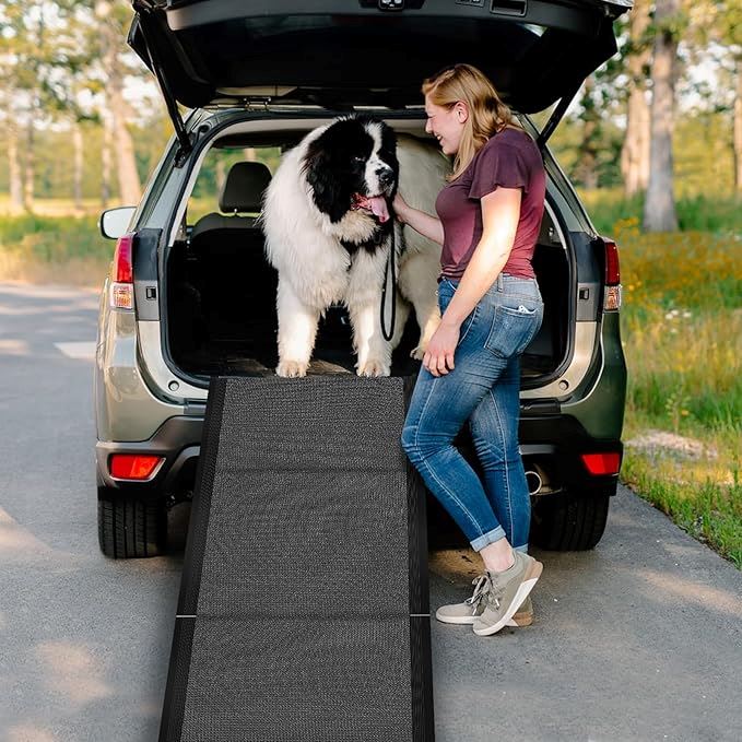 Rampe pour Chien - RideRamp™ - Gris - Voyage canin