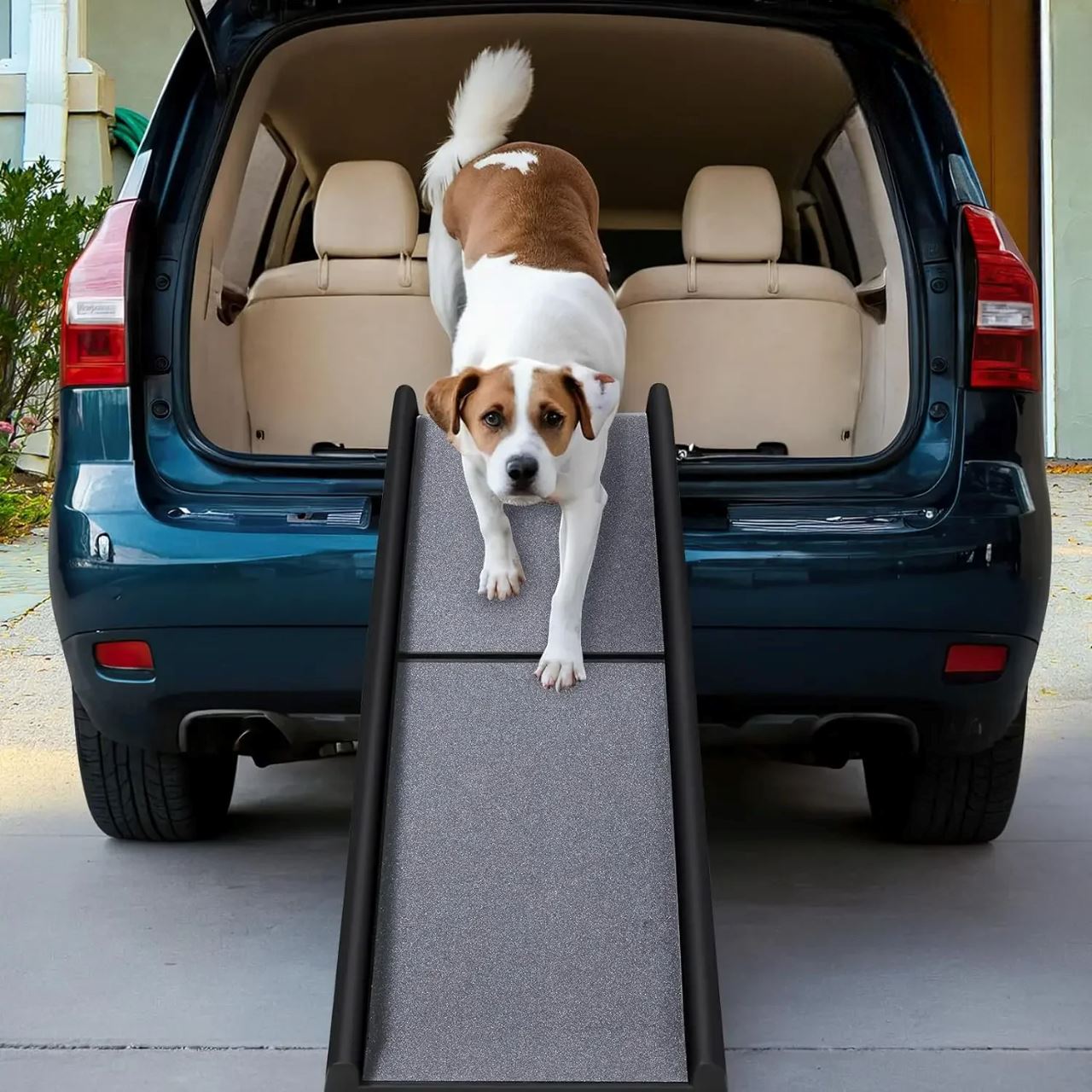Rampe pour Chien - RideRamp™ - Gris - Voyage canin