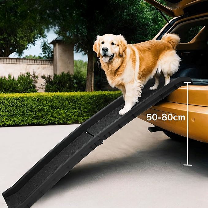 Rampe pour Chien - RideRamp™ - Noir - Voyage canin