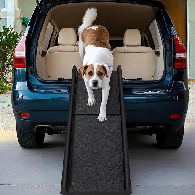 Rampe pour Chien - RideRamp™ - Noir - Voyage canin