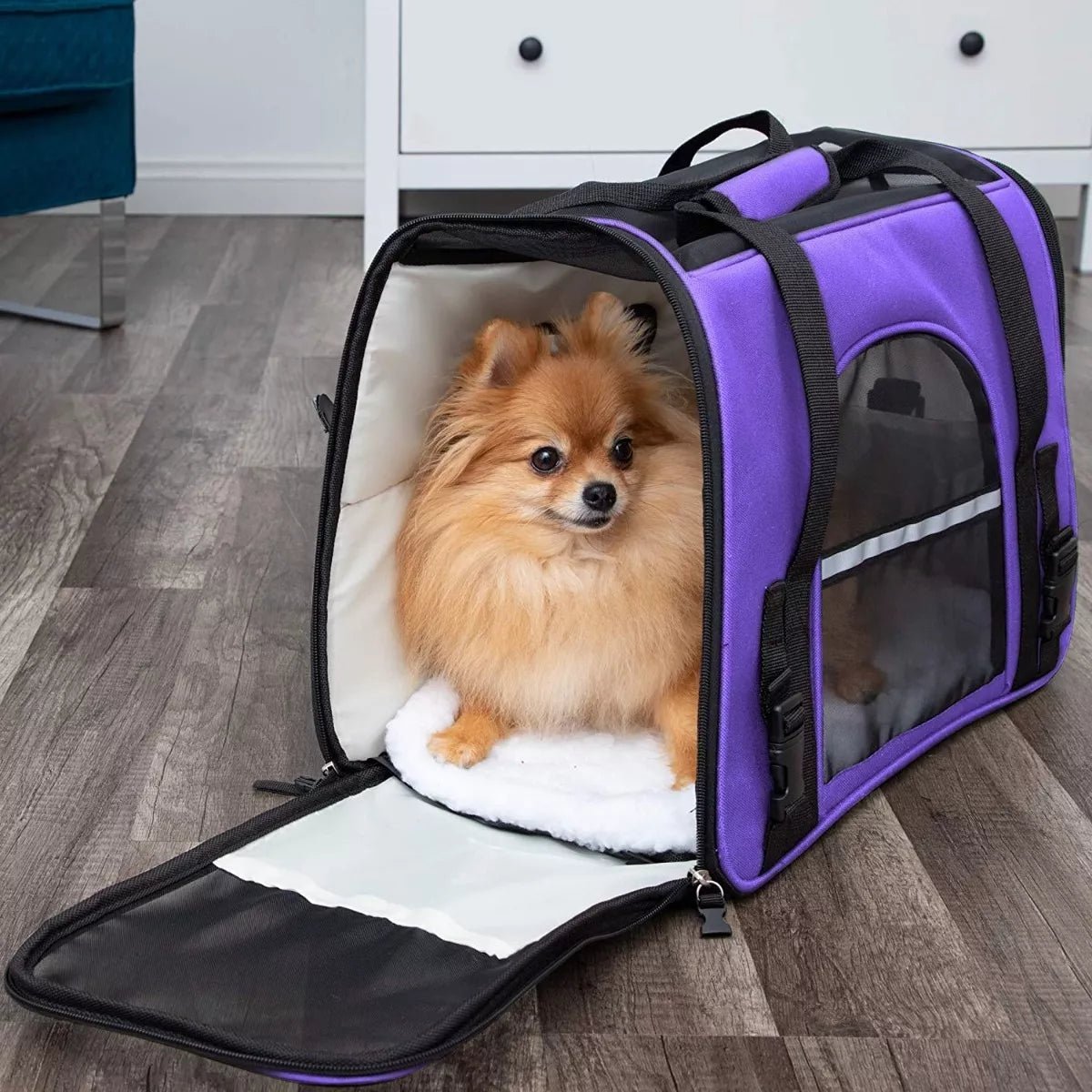 Sac de Transport pour Chien - DogCarrierBag™ - Violet - Voyage canin